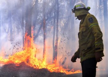 Feux de forêt: des conditions critiques attendues en fin de semaine