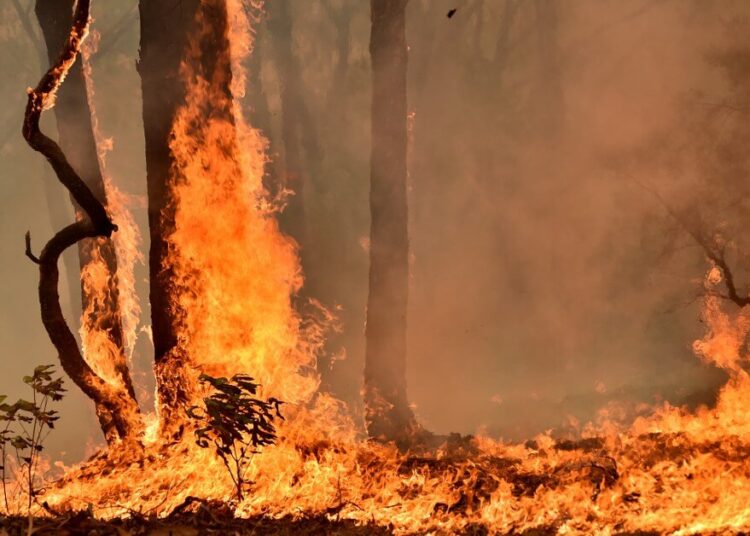 A bushfire burns on a property in Balmoral, 150 kilometres southwest of Sydney on December 19, 2019. - A state of emergency was declared in Australia's most populated region on December 19, as a record heat wave fanned unprecedented bushfires. (Photo by PETER PARKS / AFP)