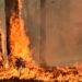 Climate ‘overwhelming’ driver of Australian bushfires: study