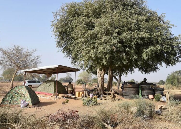 A Togolese soldier holding a machine gun keeps watch under a tree surrounded by used tyres as he monitors proceedings at Yemboate, the northern Togo border post with Burkina Faso, on February 17, 2020. - Togolese security agencies have intensified surveillance around border with neighbouring Burkina Faso, and with strong army presence to check and prevent incursion of Jihadists into the country. (Photo by PIUS UTOMI EKPEI / AFP)