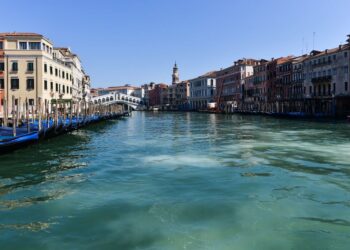 Les eaux de Venise s&rsquo;éclaircissent et les poissons reviennent grâce au lockdown (vidéo)