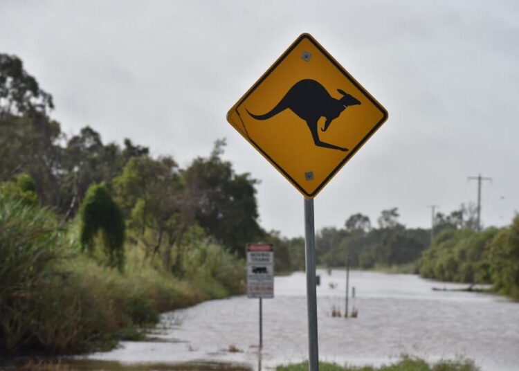 (Photo by PETER PARKS / AFP)