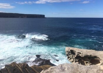 Bon plan promenade: South Head, au coeur des Eastern Suburbs