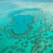 La régénération surprenante de la grande barrière de corail