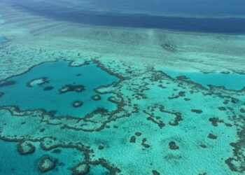 Grande Barrière de corail: l&rsquo;Australie évite la liste des sites en péril [LEARN FRENCH]