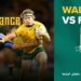Rugby: 11 novices parmi les 38 Wallabies qui défieront la France en juillet