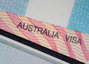 December – January sees strong demand for temporary migrant visas; further flexibility for temporary migrants