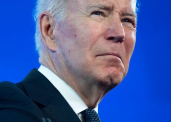 Biden, Asia-Pacific allies discuss Ukraine but no joint condemnation