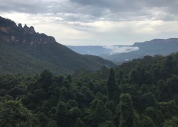 Blue Mountains :  deux randonneurs ont perdu la vie suite à un glissement de terrain
