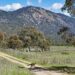 Top 5 des expériences à vivre dans le Territoire de la capitale australienne, selon Lonely Planet