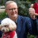 Australie: Anthony Albanese, du lit d’hôpital au fauteuil de Premier ministre