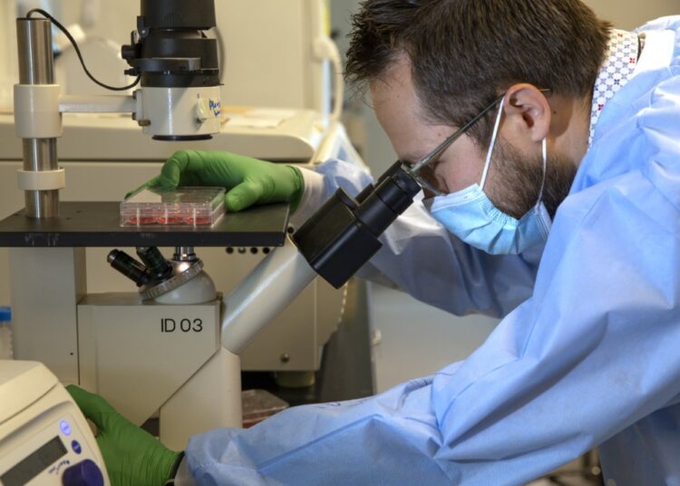 SEATTLE, WA - DECEMBER 11: Dr. Jesse Erasmus checks a serum sample he diluted under a microscope in a microbiology lab at the University of Washington School of Medicine on December 11, 2020 in Seattle, Washington. The serum samples were collected from animals that received a replicon, or replicating, RNA vaccine that's being developed to combat Covid-19 (SARS-CoV-2). Scientists are hoping this nucleic acid vaccine will only need one dose to be effective against the coronavirus and that it won't need to be stored in a deep freeze. This replicon RNA vaccine has been tested on mice and macaque monkeys and is in early stage clinical development with HDT Bio who will be leading the clinical trials of it in the United States. The serum samples Dr. Erasmus is working on will help determine the quantity of neutralizing antibodies. Karen Ducey/Getty Images/AFP (Photo by Karen Ducey / GETTY IMAGES NORTH AMERICA / AFP)