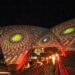 Indigenous Australian activists fight for ancient rock art
