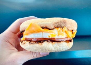 Il écope de 2.000 dollars d&rsquo;amende pour avoir transporté… des McMuffins