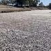 En Australie, des millions de poissons morts bouchent une rivière