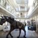 Faste et festivités: Charles Billich lance en grande pompe sa nouvelle galerie d’art