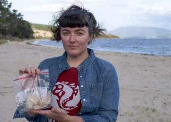 Élevage : en Tasmanie, les saumons morts s&rsquo;invitent sur les plages… et dans la campagne électorale