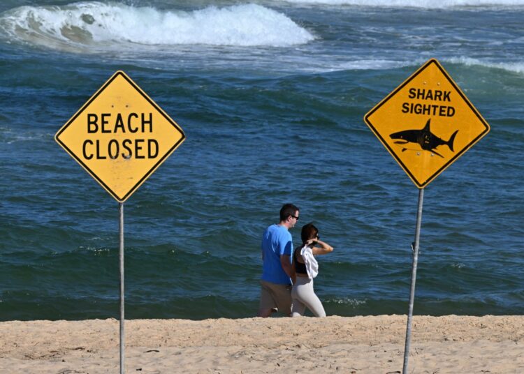 Visitors walk along the shoreline as northern Sydney beaches remain closed following a suspected shark attack at Long Reef Beach on September 6, 2025. A suspected "large shark" mauled a surfer to death in a rare fatal attack off a Sydney beach on September 6, Australian police and rescuers said, leading to a string of beach closures. (Photo by Saeed KHAN / AFP)