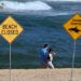 Un surfeur tué par un « grand requin » à Dee Why en Australie