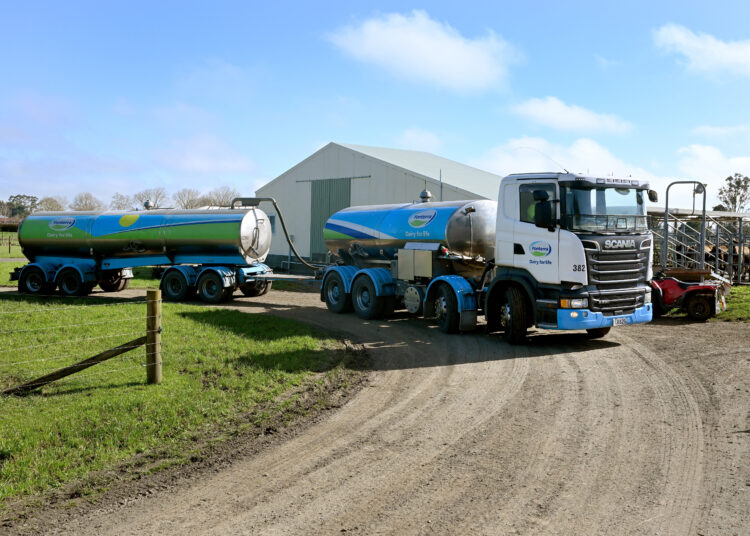 A photo taken on August 4, 2022 shows a Fonterra milk tanker near Cambridge in New Zealand's Waikato region, known for its fertile land and dairy industry. Fonterra is the world's largest dairy cooperative and New Zealand's biggest company accounting for 89 percent of the country's milk production. (Photo by William WEST / AFP)