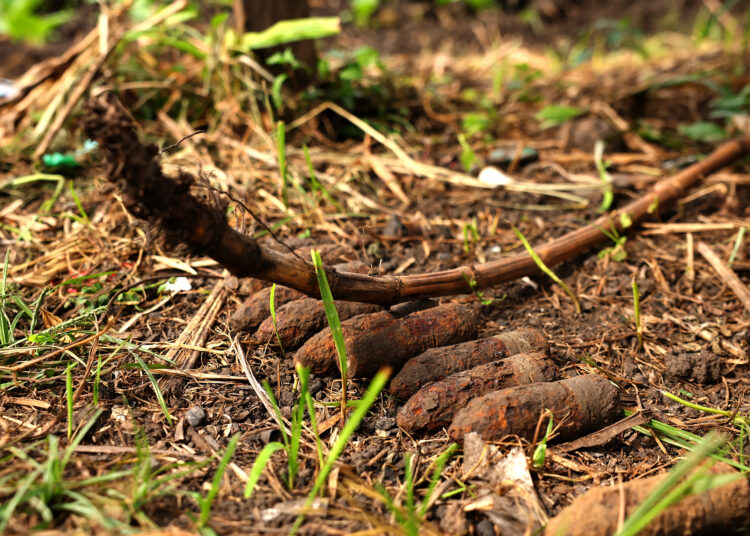 This photo taken on September 11, 2025 shows unexploded US World War II bombs found in the vegetable garden of Dennis Phillip's home in Honiara. Japanese and Allied forces waged a savage campaign across the Solomon Islands from 1942 to 1945, in which tens of thousands were killed. They left behind countless unexploded bombs still scattered across the small Pacific nation decades after World War II. (Photo by Ben STRANG / AFP) / TO GO WITH 'SOLOMONS-WWII-BOMBS-HISTORY,FOCUS' BY BEN STRANG