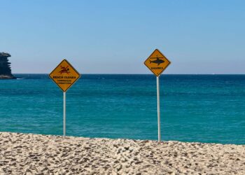 Woman critically injured after shark mauling at Australia&rsquo;s Coogee Beach